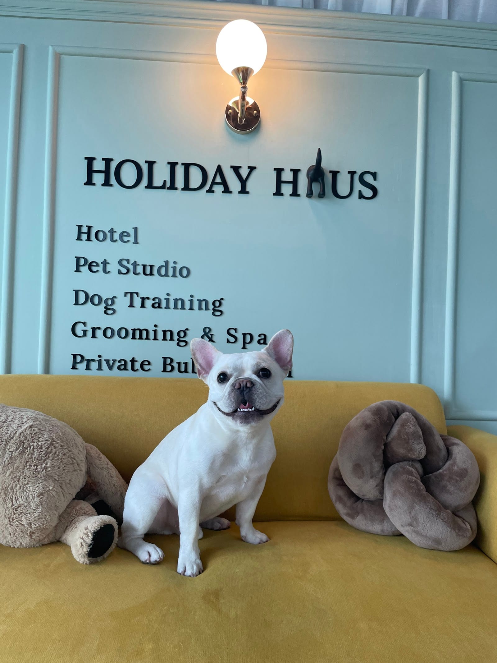 Holiday Haus pet shop and signage