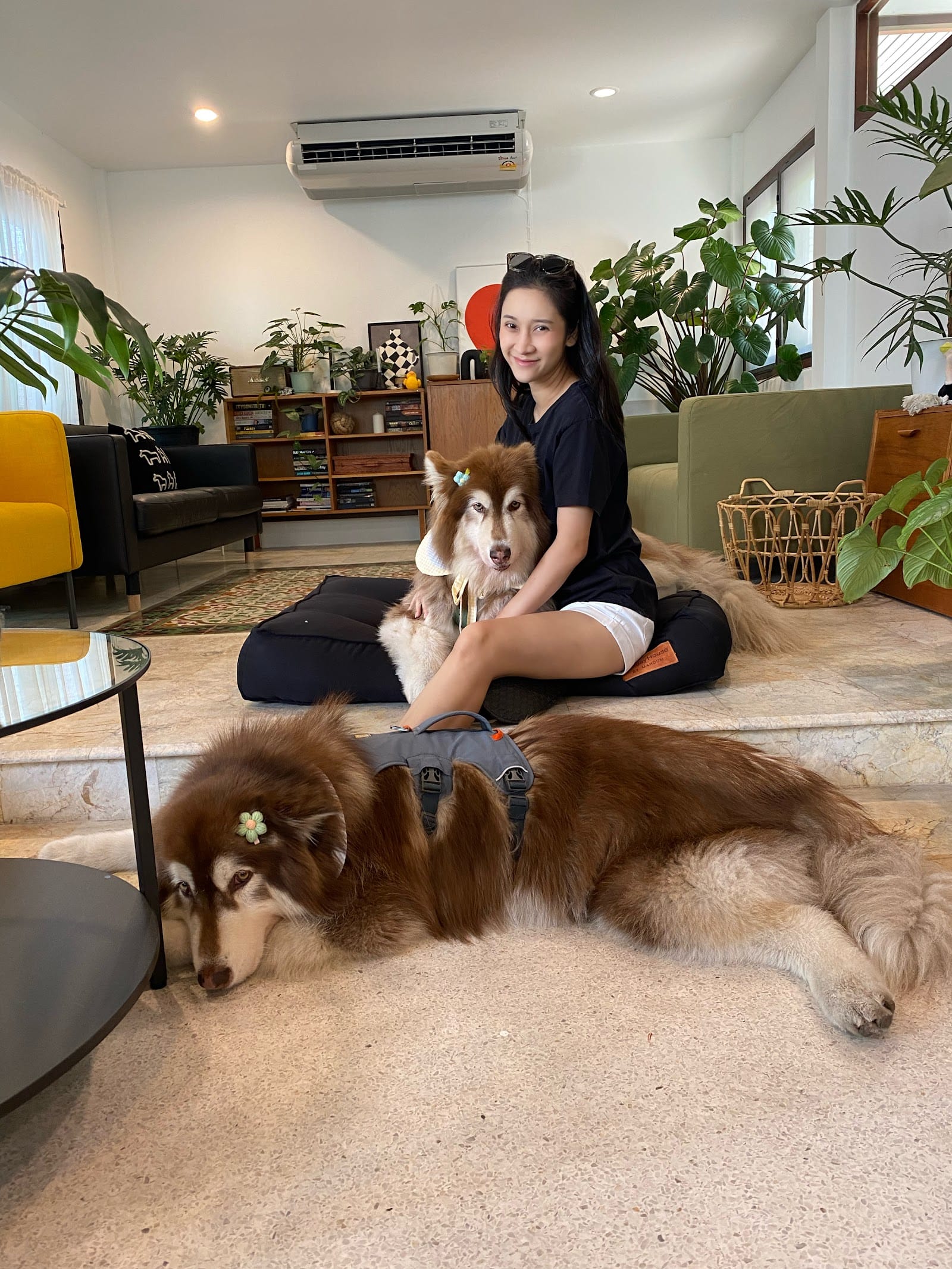 A carer relaxing with dogs at Holiday Haus